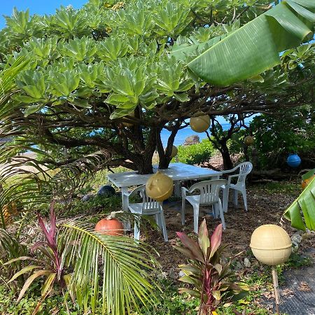 Ken'S Beachfront Cafe & Lodge, Bl2, Oceanfront And Free Canoe Rental Onna Exterior foto